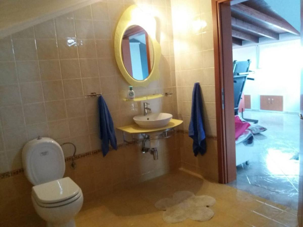 Attic Family * Paralia Dionisiou