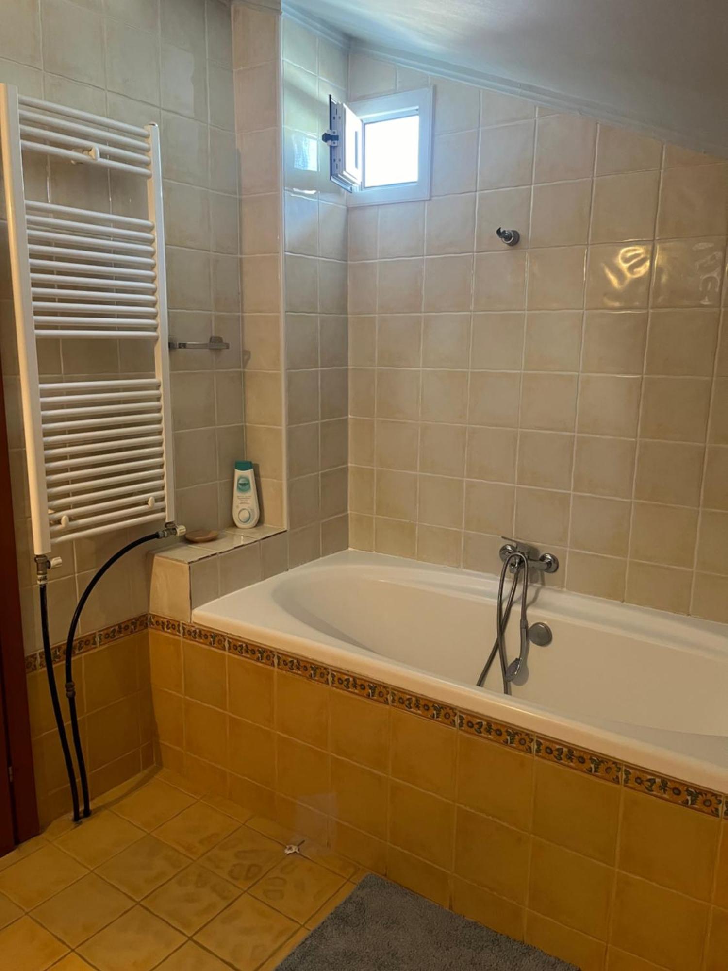Appartement Attic Family Paralia Dionisiou